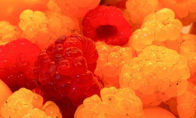 這正是球隊 這正是球隊