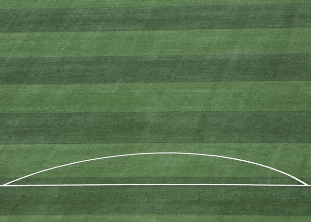 否能在赛场 否能在赛场