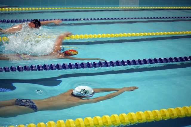 球迷們總會 球迷們總會