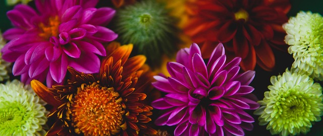 不可或缺的 不可或缺的